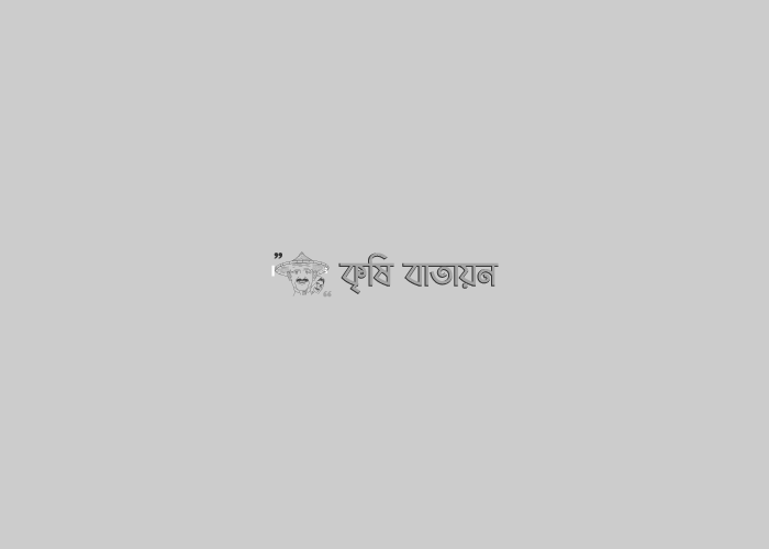 মৌ চাষ